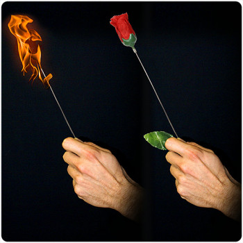 Torch to Rose - Plus - Zaubertrick