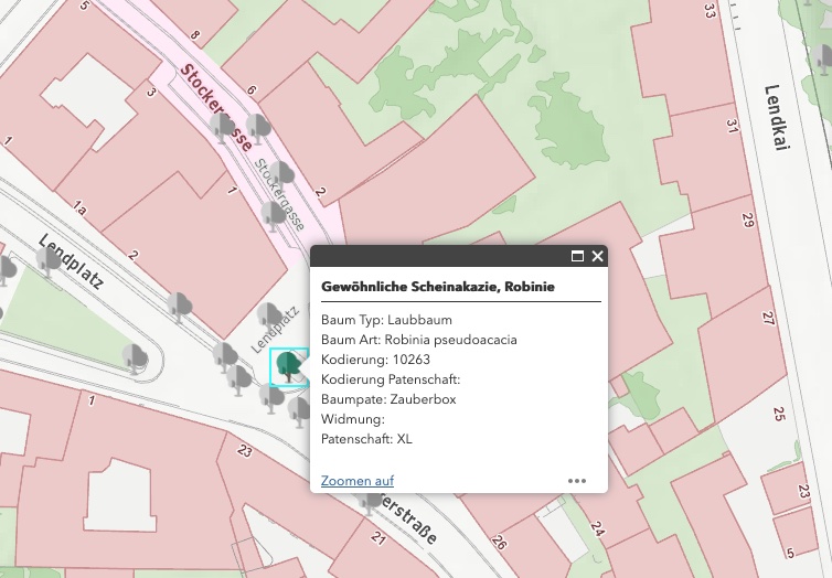 Eintrag zur Baumpatenschaft am Lendplatz Graz