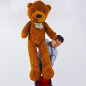 Preview: Appearing Teddy Bear - Large size