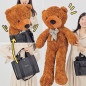 Preview: Appearing Teddy Bear - Medium size