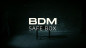 Mobile Preview: BDM Safe Box (Gimmick and Online Instructions) by Bazar de Magia
