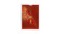 Preview: Bicycle 140th Anniversary by US Playing Card - Pokerdeck