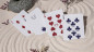 Preview: Bicycle Cycle of Venus - Pokerdeck