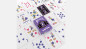 Preview: Bicycle Disney Daisy Duck by US Playing Card Co