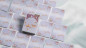 Preview: Bicycle Seasons (Winter Edition) Playing Cards