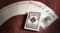 Preview: Bicycle Silver Playing Cards by USPC - Silber Deck