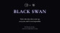 Preview: Black Swan by SUN & MJ