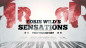 Preview: Boris Wild's Sensations - Video - DOWNLOAD