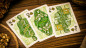 Preview: Caesar (Green) by Riffle Shuffle - Pokerdeck
