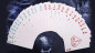 Preview: Calavera by PVC - Pokerdeck