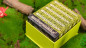 Preview: Childhood (Half Brick Standard + Gilded ) by TCC & Lunzi - Pokerdeck