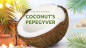 Mobile Preview: Coconut's Pepegyver by Jose Cruz González - Video - DOWNLOAD