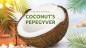 Preview: Coconut's Pepegyver by Jose Cruz González - Video - DOWNLOAD