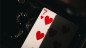 Preview: Cohort Casino Marked Playing Cards - Markiertes Kartenspiel
