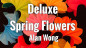 Preview: Deluxe Spring Flowers by Alan Wong