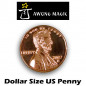 Preview: Dollar sized Penny