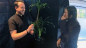 Preview: Echo Book Test by Vincent Hedan (Cartomancy)
