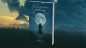 Preview: Echo Book Test by Vincent Hedan (Dreams)