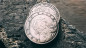 Preview: Euna Dollar 3er Set - Speed Coins - Untained Edition - Dollar Size