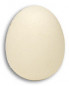 Preview: Foam Egg - Schaumstoff Ei - Fake Ei von Magic by Gosh