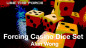 Preview: Forcing Casino Dice Set (8 Stück) by Alan Wong - Trickwürfel - Gezinkte Würfel