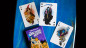 Preview: FULTONS WITCHING HOUR PLAYING CARDS