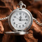 Preview: Gemini Watch by TCC