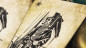 Preview: Grandpere Edition with online tutorial - Pokerdeck