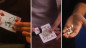 Preview: IGNIS by Sid T - Video - DOWNLOAD