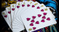 Preview: KEVIN STAAB 40TH ANNIVERSARY PIRATE PLAYING CARDS