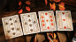 Preview: Kite by ARK - Pokerdeck
