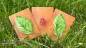 Preview: Lucky Ladybug (Leaf) by Joshua Ray & Deuce Gala Magic