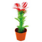 Preview: Magic Appearing Flower