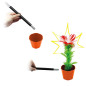 Preview: Magic Appearing Flower