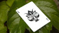 Preview: Mantis (Marked) - Pokerdeck - Markiertes Kartenspiel