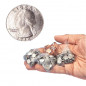 Mobile Preview: Mini Coin - Miniatur Münze - Quater