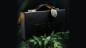 Preview: Mooi Collector's Edition BOXSET by theory11
