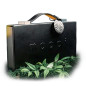 Preview: Moooi Collector's Edition by Theory11