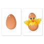 Preview: My Egg (Bicycle)
