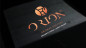 Preview: ORION Bronze by Phedon Bilek - Buch