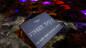Preview: Paul Harris Presents Street Thief (Japanese Yen) by Paul Harris