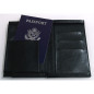 Preview: Pickpocket Passport by Alan Wong & Gregory Wilson - Comedy