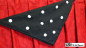 Preview: Polka Dot Silk (18" x 18") by Mr. Magic