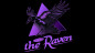 Preview: Raven Starter Kit