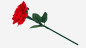 Preview: Reborn Rose by JL Magic
