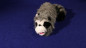 Preview: Roxie The Raccoon (Spring Animal)