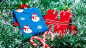 Preview: SOCKS Christmas Edition by Michel Huot - Zuabertrick für Weihnachten