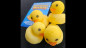 Preview: Super Spongy Duckies (4)