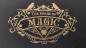 Preview: The House of Magic by David Attwood - Buch