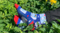 Preview: The Undressed Deck SOCKS by Edi Rudo - Socken